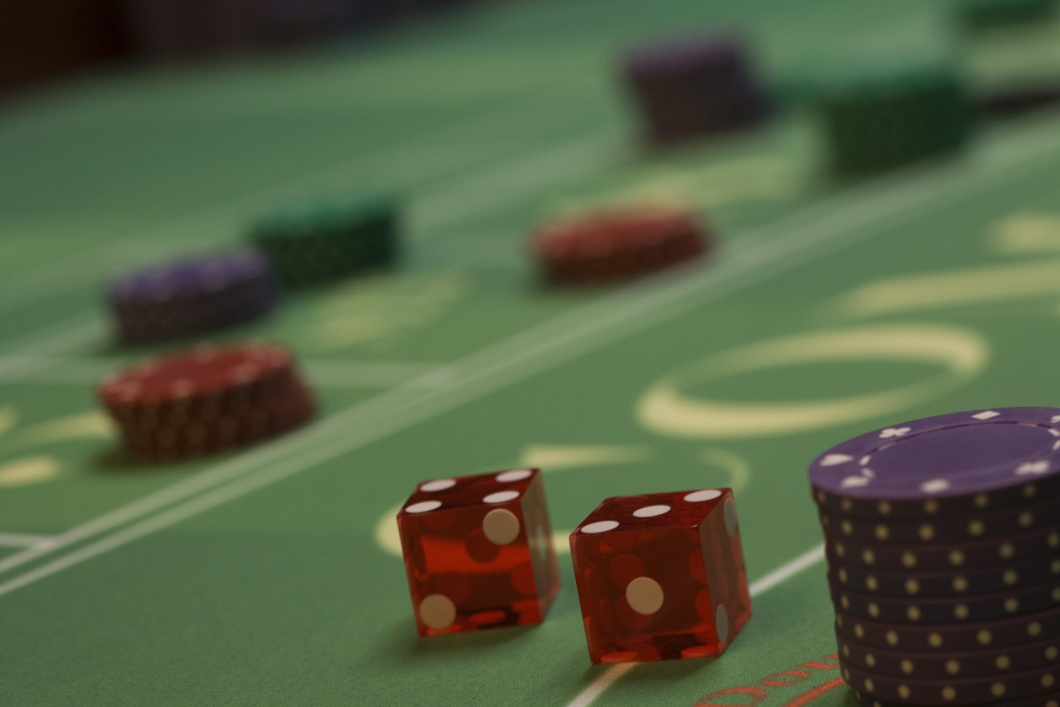 Dolphin casino game online Texas holdem online game free msn